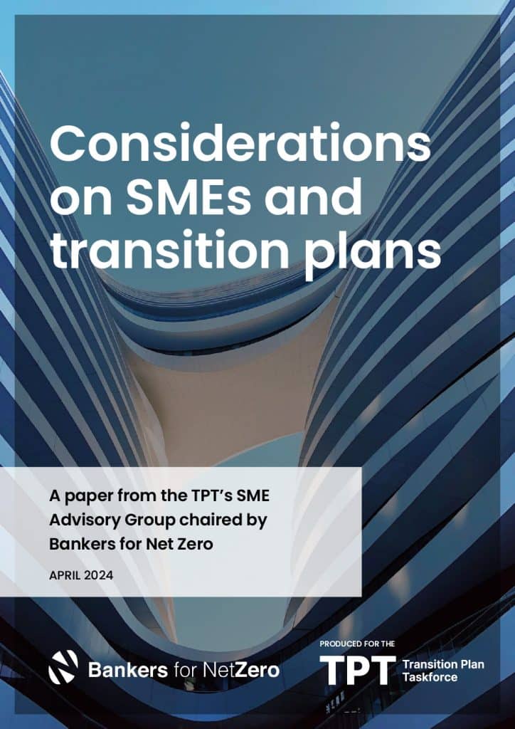 Considerations on SMEs and transition plans. TPT.