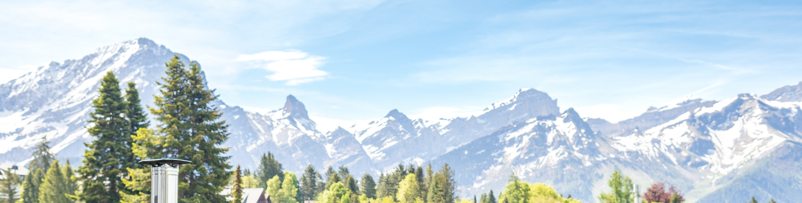 view of snow covered swiss alps with green trees in foreground